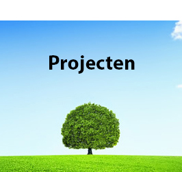 projecten2